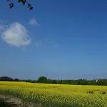 Fewo Mittelmole