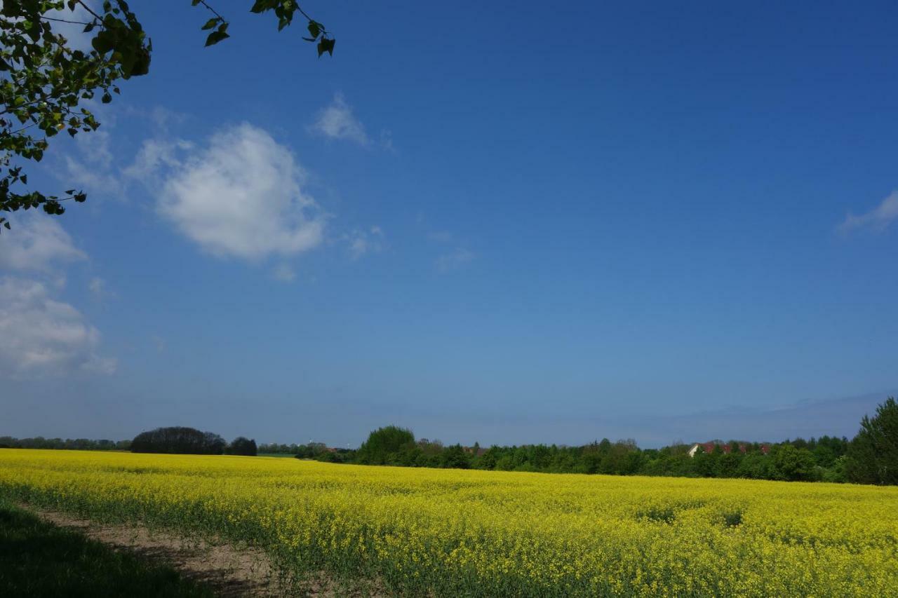 Mittelmole Apartment Rostock